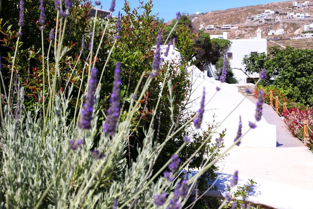 Aelia Mykonos Hotel Орнос Екстериор снимка